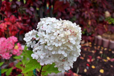 Similar image 22564049