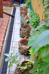 Similar image 22564050