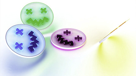 Similar image 22576557