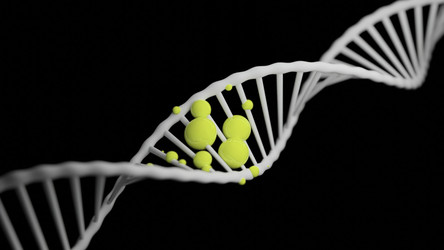 Similar image 22559738