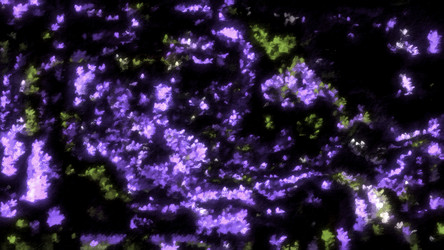 Similar image 22575350