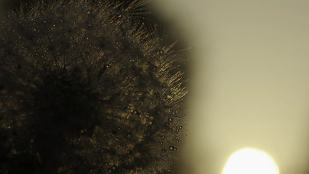 Similar image 22577027