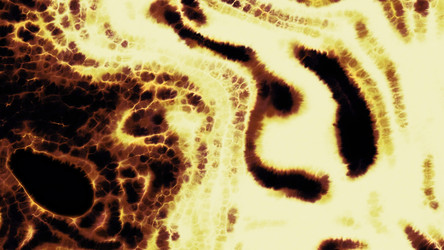 Similar image 22564268