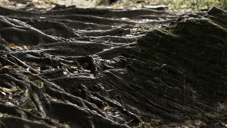 Similar image 22564405