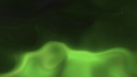 Similar image 22566652