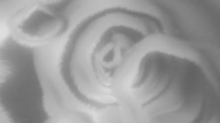 Similar image 22570376