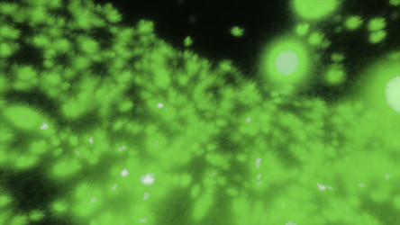 Similar image 22572908