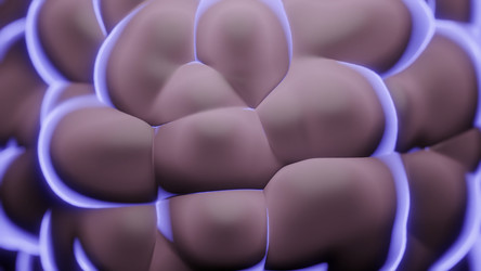 Similar image 22572240