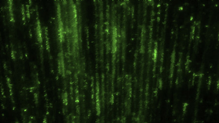 Similar image 22572666