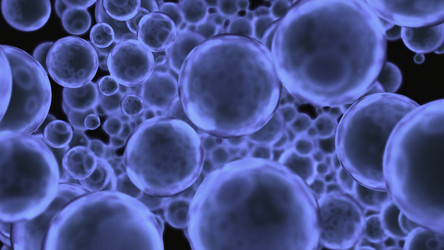 Similar image 22559636