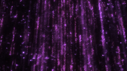 Similar image 22559689