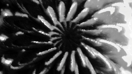 Similar image 22565565