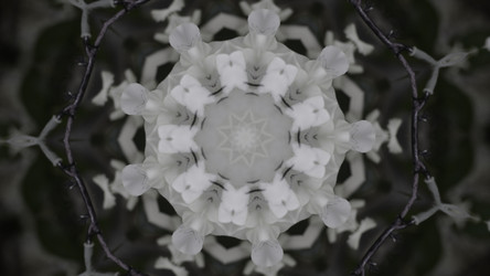 Similar image 22568703
