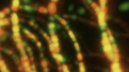 Similar image 22566455