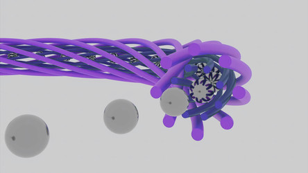 Similar image 22570041