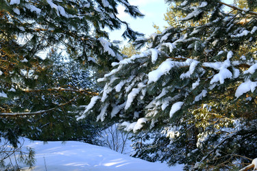 Similar image 22558907