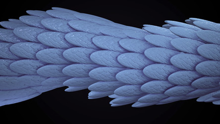 Similar image 22574434