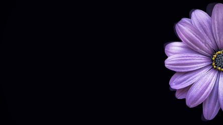 Similar image 22572244