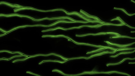 Similar image 22559338