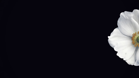 Similar image 22569537