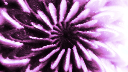 Similar image 22570439