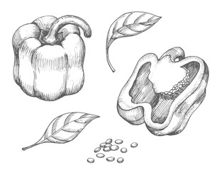 Similar image 22562633