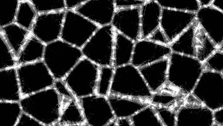 Similar image 22576261