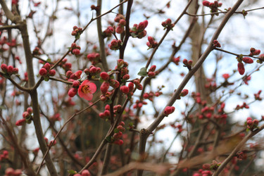 Similar image 22560023