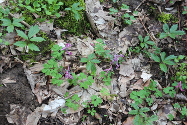 Similar image 22560024