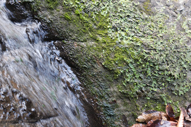 Similar image 22560025