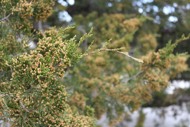 Similar image 22560027