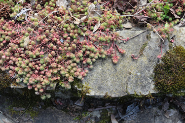 Similar image 22560029