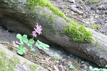 Similar image 22560030