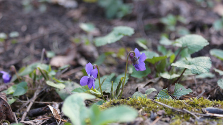 Similar image 22560031