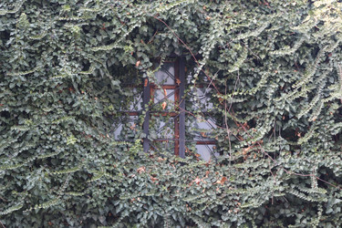 Similar image 22560032