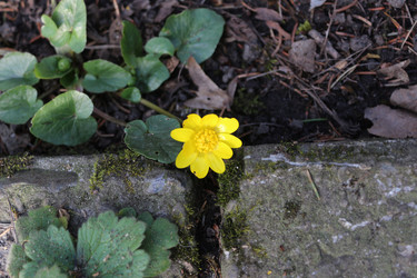 Similar image 22560034