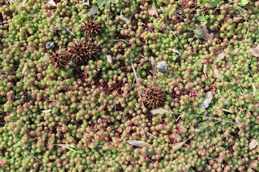 Similar image 22560043