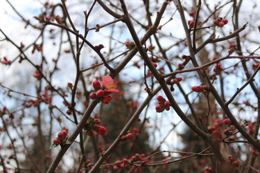 Similar image 22560045