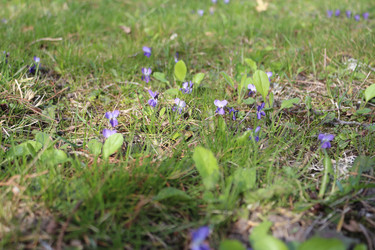 Similar image 22560047