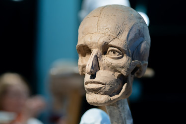 Similar image 22578487