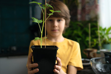 Similar image 22578535