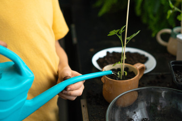 Similar image 22578491