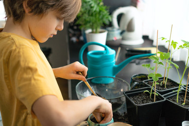 Similar image 22578537