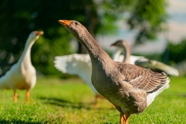 Similar image 22578339