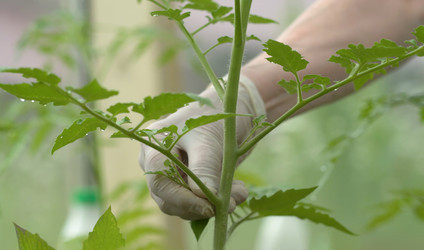 Similar image 22578352