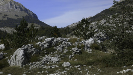 Similar image 22570103