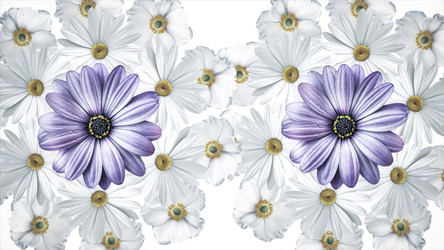 Similar image 22576095