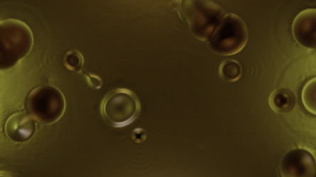 Similar image 22569289