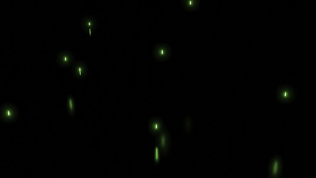 Similar image 22570104