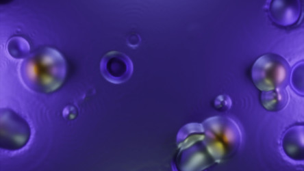 Similar image 22574149